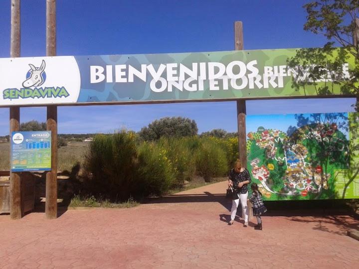 Atico Entero Con Habitacion En Corella Exterior foto